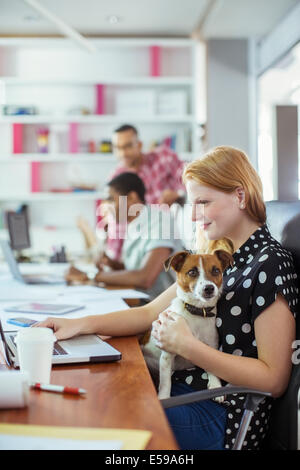 Dog sitting on woman’s lap in office