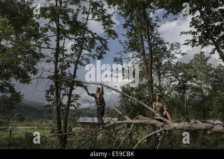 Laiza, Kachin, Myanmar. 8th July, 2014. KIA recruits clear a fallen tree at a training camp in Laiza, Kachin State, Myanmar. The Kachin Independence Army (KIA) is the military wing of the KIO and fights for Kachin autonomy within Myanmar. Since 2011, fighting has reignited between the KIA and Burmese army after a longstanding ceasefire was broken. © Taylor Weidman/ZUMA Wire/Alamy Live News Stock Photo