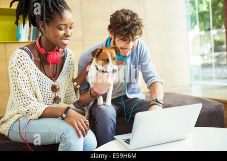 Friends and dog working on laptop in office Stock Photo