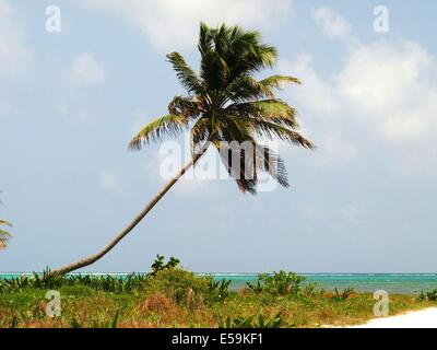 Ocean view from the beach on Ambergris Caye, Belize Stock Photo