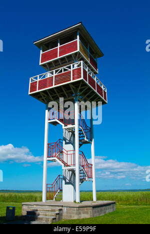 Loode tammiku bird watching tower | Päikesepealinn Kuressaare | Navicup  self guided tour app and map