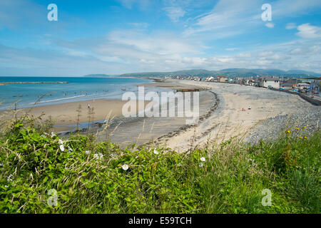 Beach at Borth Ceredigion Wales UK Stock Photo