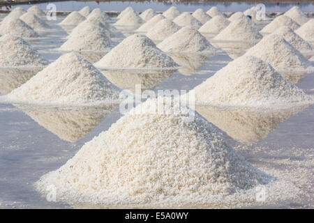 Heap of sea salt in a field prepared for harvest  in Thailand Stock Photo