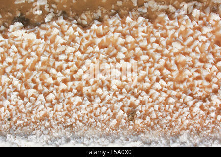 Heap of sea salt in a field prepared for harvest  in Thailand Stock Photo