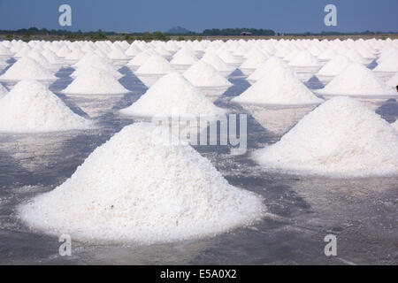 Heap of sea salt in a field prepared for harvest  in Thailand Stock Photo