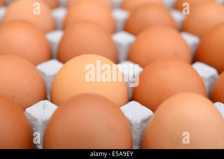 Eggs in a carton Stock Photo