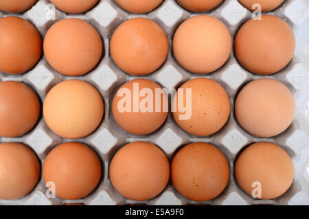 Eggs in a carton Stock Photo