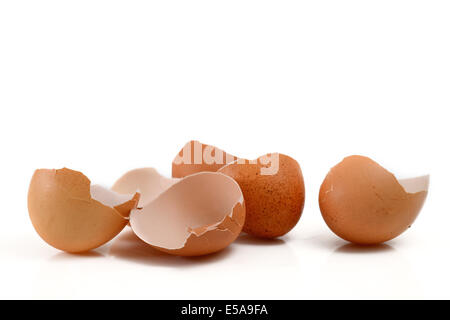 Eggshells Stock Photo
