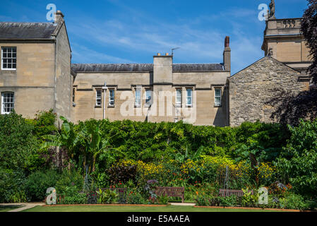 Quadrangle garden and Trinity college beyond, Balliol College, Oxford, England, UK Stock Photo