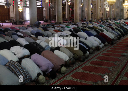 Damascus, Syria. 25th July, 2014. Syrians pray at Umayyad Mosque in the old city of Damascus, Syria on Friday, July 25, 2014, the last Friday of the Muslims holy month of Ramadan during which Muslims refrain from eating, drinking, smoking from sunrise to sunset. Credit:  Bassem Tellawi/Xinhua/Alamy Live News Stock Photo