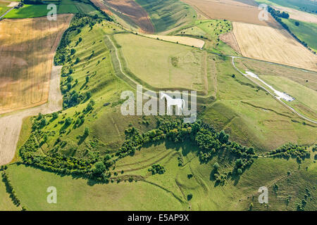 Aerial view Westbury White Horse at Bratton Camp, Wiltshire, UK. JMH6196 Stock Photo