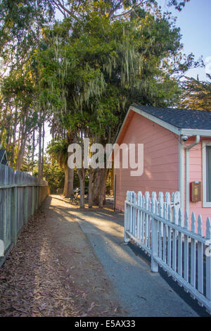 Pathway leading to the Monarch Butterfly Sanctuary, Pacific Grove California Stock Photo