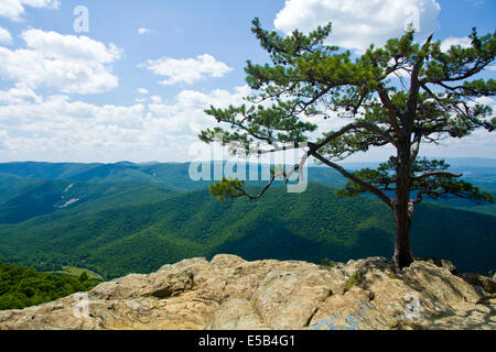 Ravens Roost Overlook, Blue Ridge Parkway, Virginia, USA Stock Photo