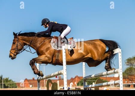 Horse rider jumping gate poles mid flight photo action equestrian show