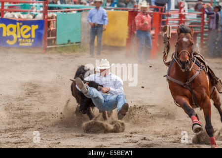 Cowboy wrestling steer at Luxton Pro Rodeo events-Metchosin, British Columbia, Canada. Stock Photo