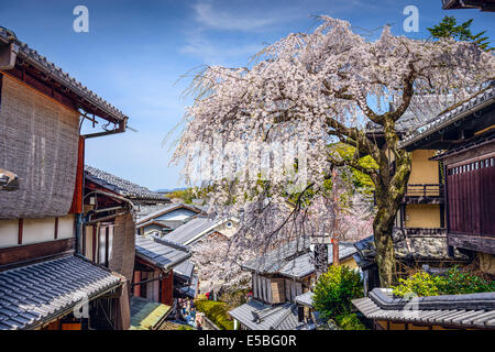 Kyoto, Japan at the Higashiyama district in the springtime. Stock Photo