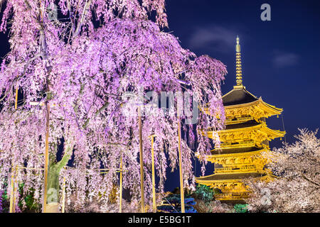 To-ji pagoda in the springtime in Kyoto, Japan. Stock Photo