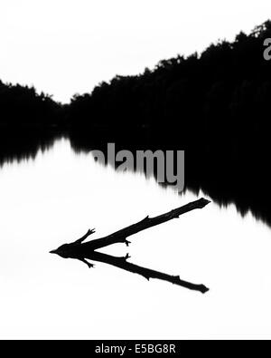 Reflection of wood fallen in water Stock Photo