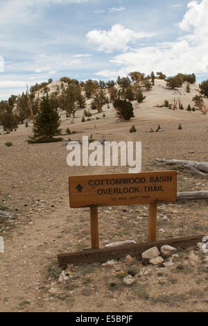 Cottonwood Basin overlook trail sign at the Patriarch Bristlecone Grove in the white mountains of the Inyo National Forest Stock Photo