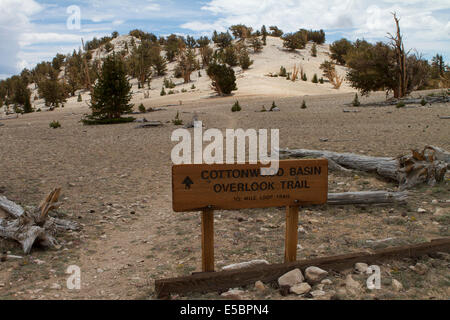 Cottonwood Basin overlook trail sign at the Patriarch Bristlecone Grove in the white mountains of the Inyo National Forest Stock Photo