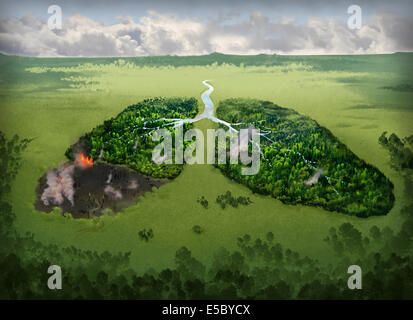 Illustrative image of burning lungs on field representing smoking issues Stock Photo