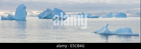 Panorama arctic of seascape with beautiful icebergs around disko island in greenland Stock Photo