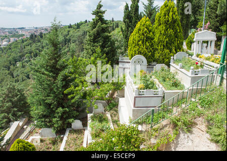 Old ornate graves on hillside cemetary with trees overlooking city Stock Photo