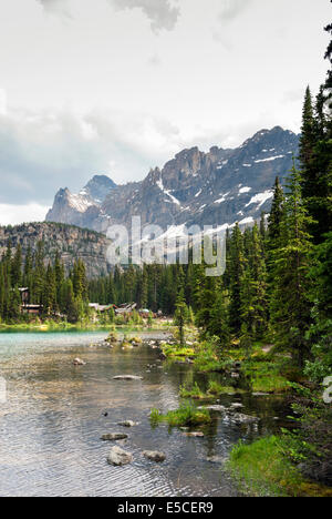 Elk203-2315v Canada, British Columbia, Yoho National Park, Lake O'Hara, cabins