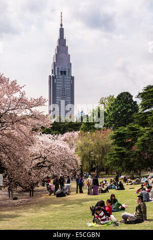 People enjoying cherry blossom season at Shinjuku Gyoen National Garden in Tokyo, Japan. NTT Docomo Yoyogi Building in the backg Stock Photo