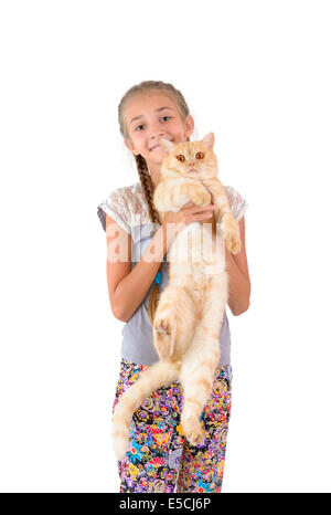 The girl with a red cat of breed Scottish-straight are photographed on the white background Stock Photo