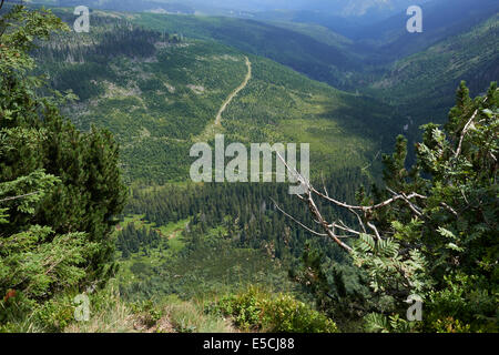 Pancava meadow, Zlate navrsi, Pancava waterfall, Krkonose National Park, Giant Mountains National Park, Czech Republic Stock Photo