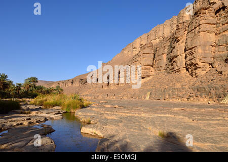 Water in a guelta at Iherir Canyon, Tassili n'Ajjer National Park, Unesco World Heritage Site, Sahara desert, Algeria Stock Photo