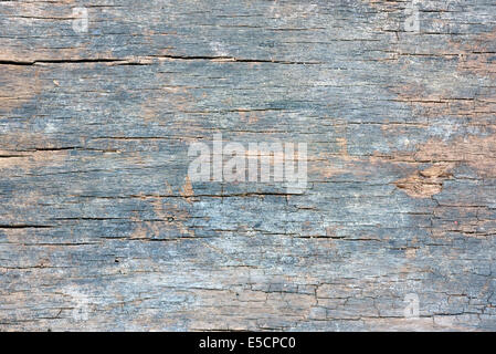 old wood texture and background, detail Stock Photo