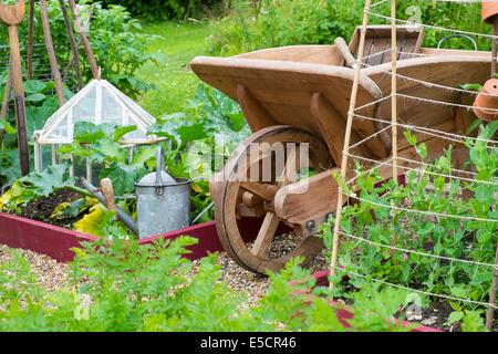 View of small raised bed with Garden Peas, 'Kelvedon Wonder', Supported By canes and garden twine, and outdoor tomatoes, England Stock Photo