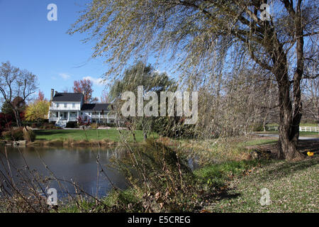 Colonial home with lawn, pond and weeping willow in the foreground, USA. Stock Photo
