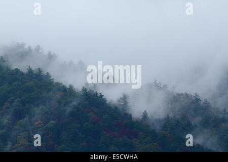 Fog envelopes mountain ridges around Cades Cove in the Great Smoky Mountains National Park, Tennessee, USA. Stock Photo