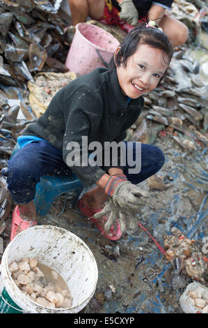 Thailand. 28th July, 2014. Burmese migrant 'young children' workers cleaning large shellfish clams in Thailand Credit:  Stephen Ford/Alamy Live News Stock Photo