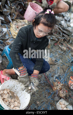 Thailand. 28th July, 2014. Burmese migrant 'young children' workers cleaning large shellfish clams in Thailand Credit:  Stephen Ford/Alamy Live News Stock Photo