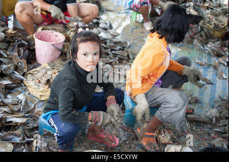 Thailand. 28th July, 2014. Burmese migrant 'young children' workers cleaning large shellfish clams in Thailand Credit:  Stephen Ford/Alamy Live News Stock Photo