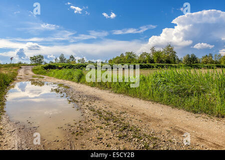 Puddle on rural road under beautiful blue sky with white clouds in Piedmont, Northern Italy. Stock Photo