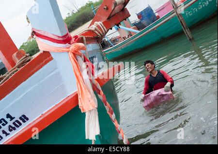 Thailand. 28th July, 2014. Burmese migrant workers catching and cleaning large shellfish clams in Thailand Credit:  Stephen Ford/Alamy Live News Stock Photo