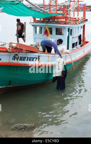 Thailand. 28th July, 2014. Burmese migrant workers catching and transporting large shellfish clams in Thailand Credit:  Stephen Ford/Alamy Live News Stock Photo