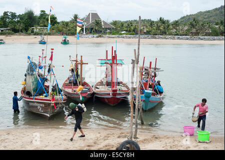 Thailand. 28th July, 2014. Burmese migrant workers  catching and transporting large shellfish clams in Thailand Credit:  Stephen Ford/Alamy Live News Stock Photo