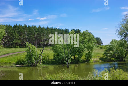 quiet lake landscape with trees on the shore Stock Photo