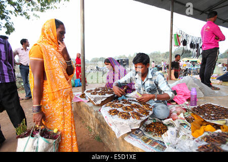 Typical market in tribal village, Karangra Village, Chattisgadh, India Stock Photo