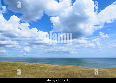 Heath, sea, clouds. Heath by the sea. Heath with wild herbs near the Baltic ocean. Osterlen, South Sweden, in June. Stock Photo