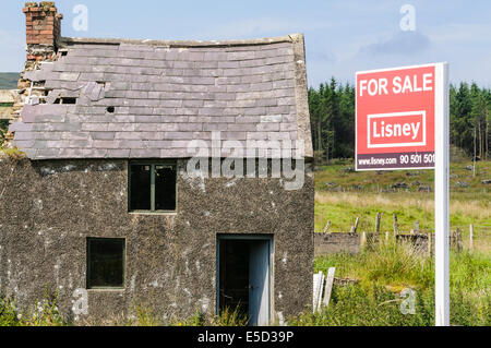 Derelict house in a rural situation with 'For Sale' sign Stock Photo