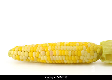 sweet corn on white background Stock Photo