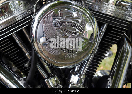 Harley Davidson motorcycle v-twin engine with 'live to ride' custom casing Stock Photo