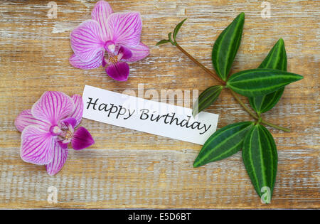 Orchids on Pink Happy Birthday Card - Little Love Press